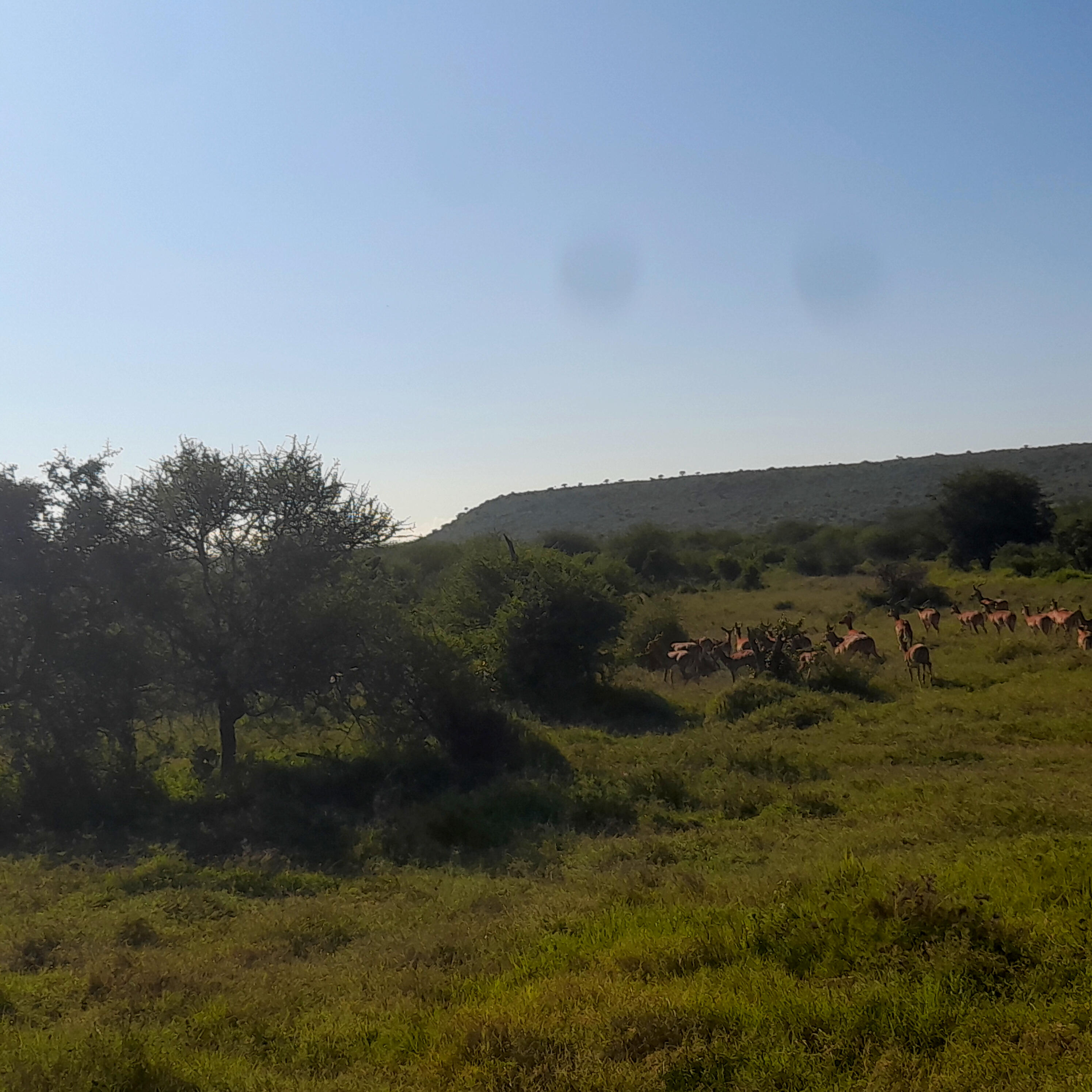 Biovector Africa — Sustainable Vector Control & Farm Biosecurity Science-led, eco-safe vector control, diagnostics, and farm biosecurity solutions for Africa.